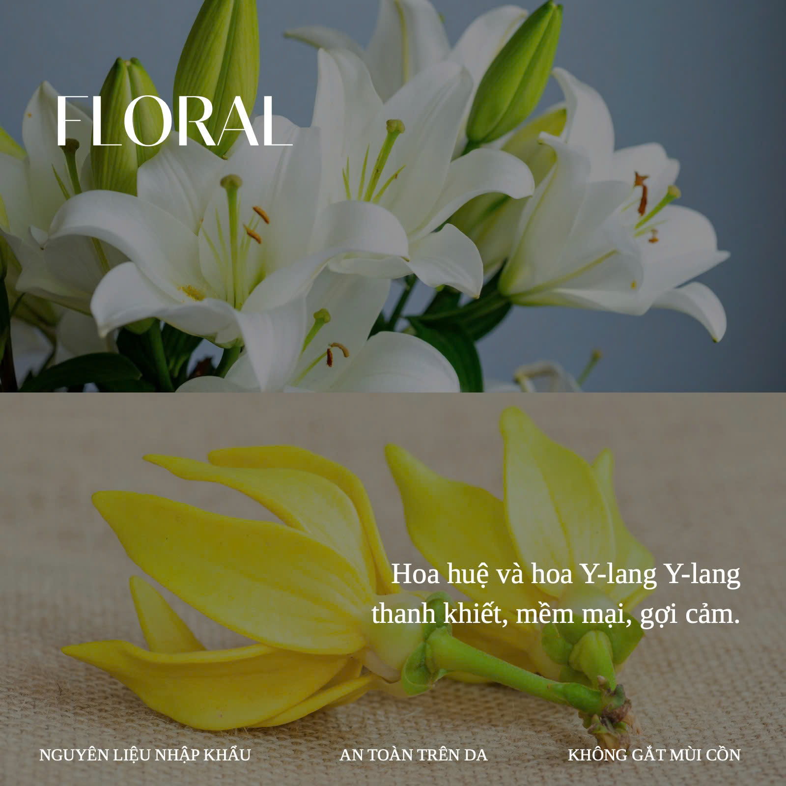 COCO BLANC – lấy cảm hứng từ Tom Ford Soleil Blanc - Ảnh 3