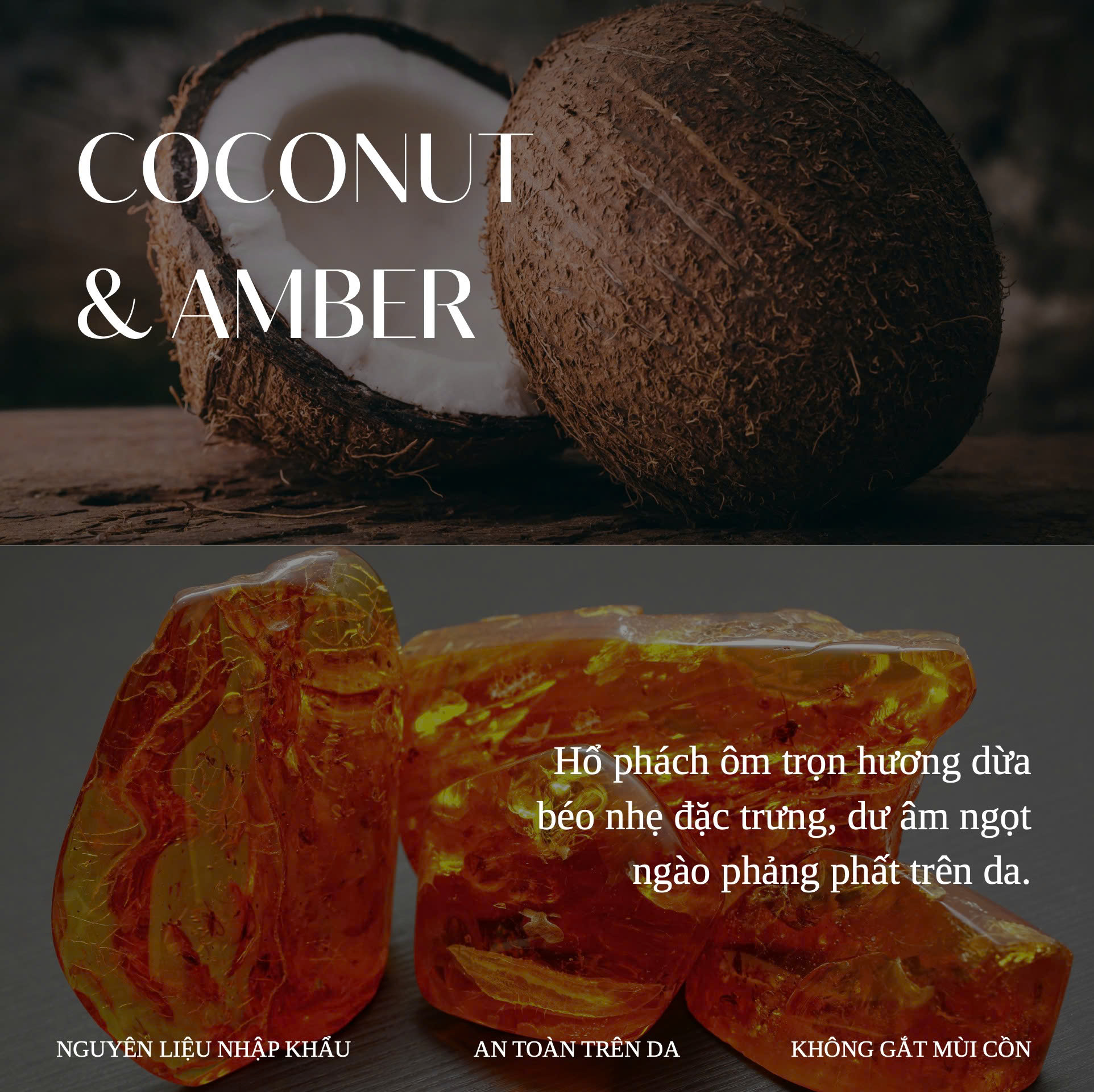 COCO BLANC – lấy cảm hứng từ Tom Ford Soleil Blanc - Ảnh 4