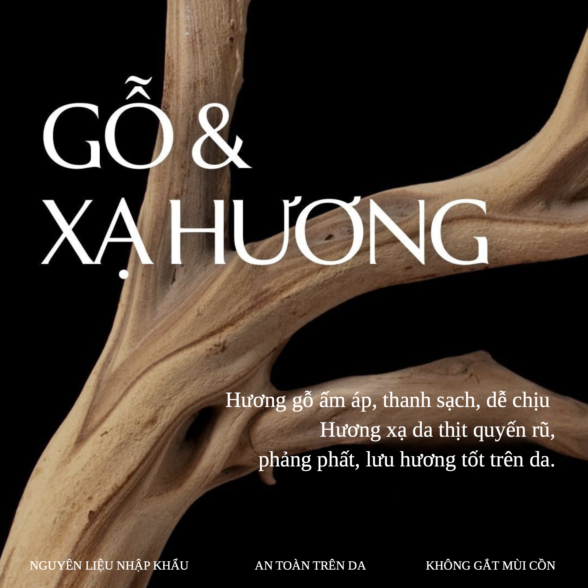 WOODY MUSK – lấy cảm hứng từ Le Labo Santal 33 - Ảnh 4